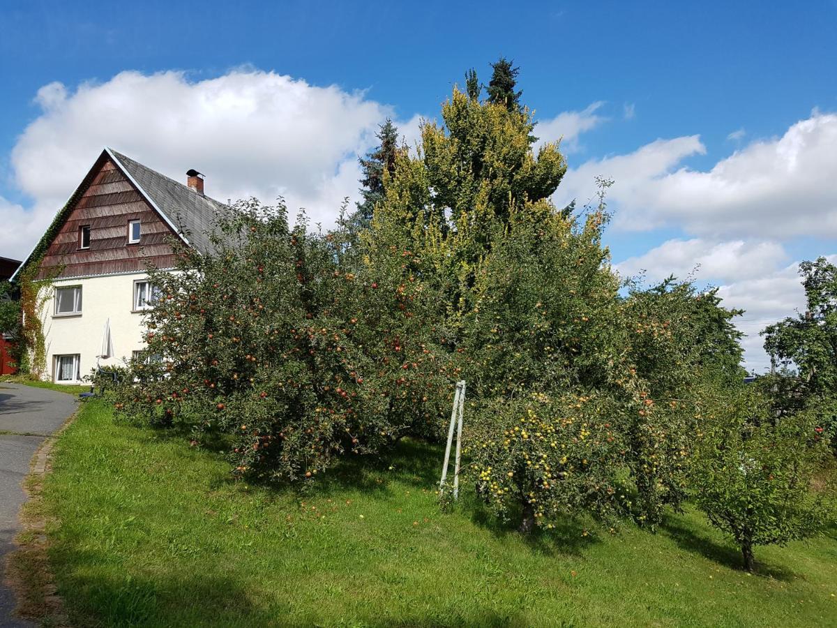 Ferienwohnung Im Obstgarten Borlas Экстерьер фото